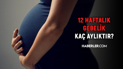 12 haftal�k gebelik ka� ayl�k oluyor? Hamilelikte do�ru bilinen yanl��lar!