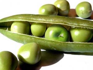 Ak�ll� Besinlerle Kal�c� Zay�flay�n!