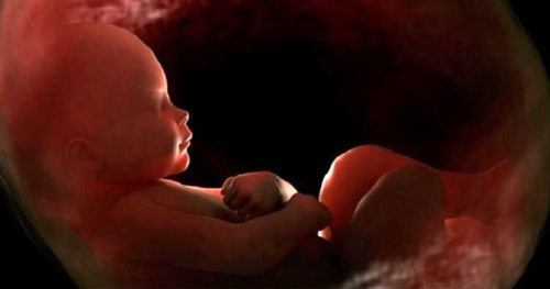 Bebe�in hayat suyu 