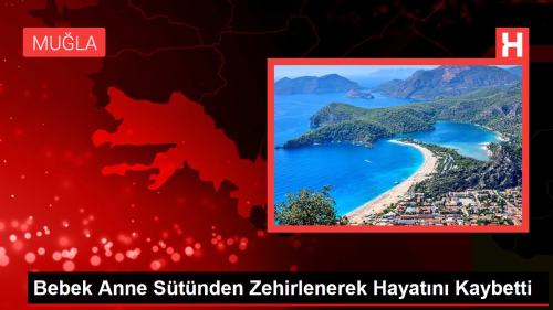 Bebek Anne Stnden Zehirlenerek Hayatn Kaybetti