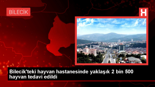 Bilecik'te Hayvan Hastanesi ve Rehabilitasyon Merkezi Ald