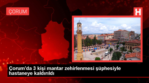 orum'da 3 Kii Mantar Zehirlenmesi phesiyle Hastaneye Kaldrld