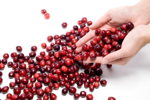 Cranberry, Mevsim De�i�ikliklerinde Bire Bir
