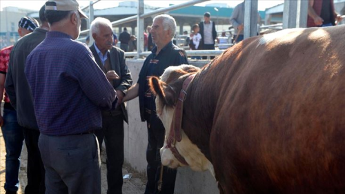 Dikkat etmezsek bayram bize zehir olabilir! Kurban'da 1 milyon kii tehdit altnda