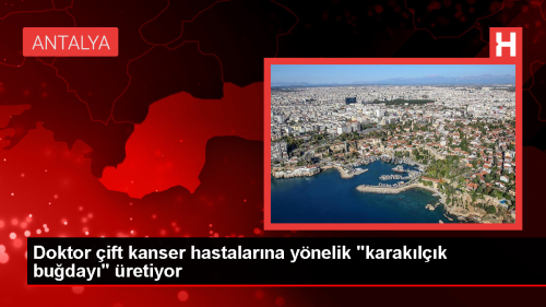 Doktor �ift, Kanser Hastalar� ��in Karak�l��k Bu�day� �retiyor