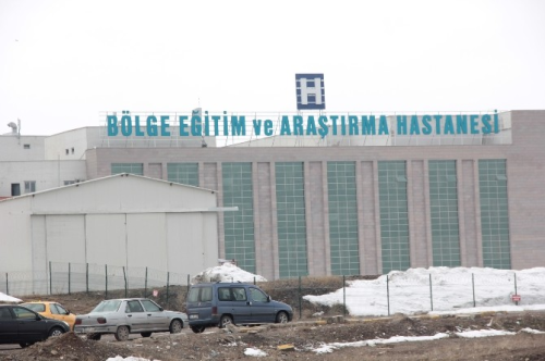 Erzurum'da Domuz Gribi phesi