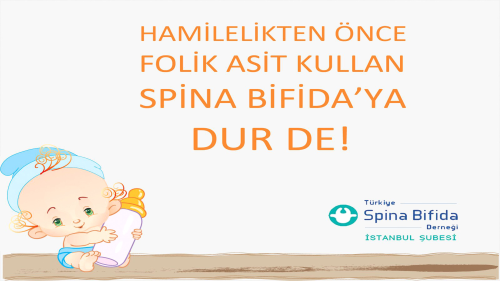 Hamilelikten nce Kullanlan Folik Asit Spina Bifiday nlyor