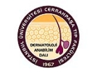 �stanbul �niversitesi Cerrahpa�a T�p Fak�ltesinde, Sedef Hastalar�na �zel Bir �nite Kuruldu!