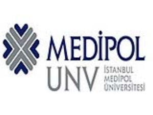 �stanbul'un 