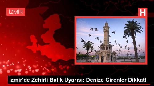 zmir'de Zehirli Balk Uyars: Denize Girenler Dikkat!