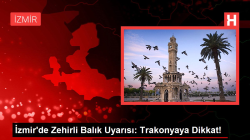 zmir'de Zehirli Balk Uyars: Trakonyaya Dikkat!