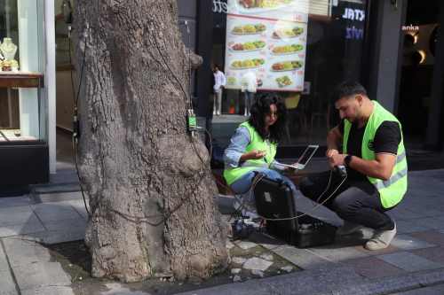 Kartal Belediyesi, Akustik Tomografi Y�ntemiyle A�a�lar�n Sa�l�k Durumunu �nceliyor