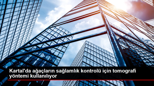 Kartal'da a�a�lar�n sa�laml�k kontrol� i�in tomografi y�ntemi kullan�l�yor
