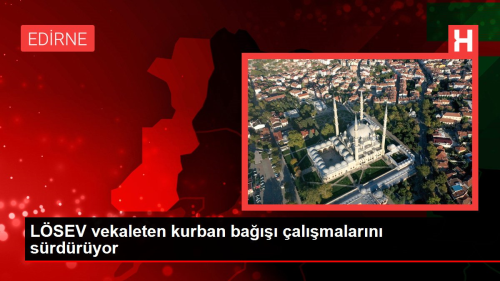 L�SEV vekaleten kurban ba���� �al��malar�n� s�rd�r�yor