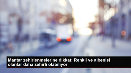 Mantar zehirlenmelerine dikkat: Renkli ve albenisi olanlar daha zehirli