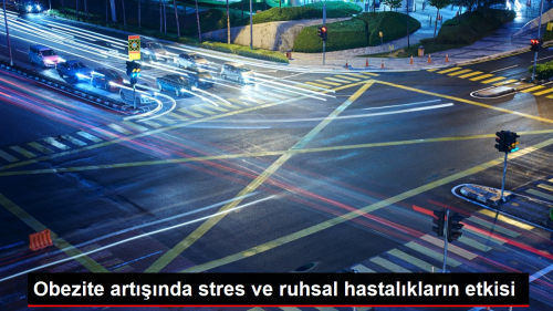 Obezite artnda stres ve ruhsal hastalklarn etkisi