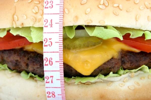 Obezite ile M�cadelede Yeni Y�ntem