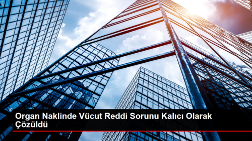Organ Naklinde V�cut Reddi Sorunu Kal�c� Olarak ��z�ld�