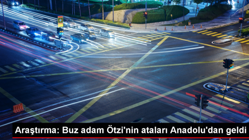 tzi'nin atalar Anadolu'dan gelmi