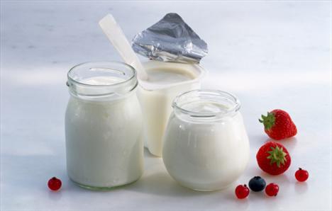 Probiyotikler Salg�n Hastal�klara Kalkan Oluyor