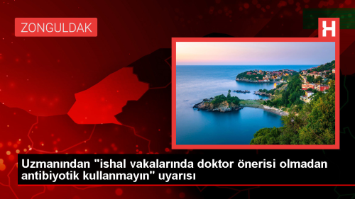 Prof. Dr. Etem Pikin: shal vakalarnn ounluu virslere bal, antibiyotik kullanlmamal