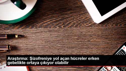 izofreniye Neden Olan Hcrelerin Erken Gebelik Dneminde Grlebilecei Ortaya kt