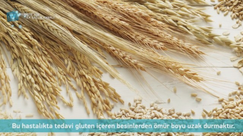 ��lyak Nedir?