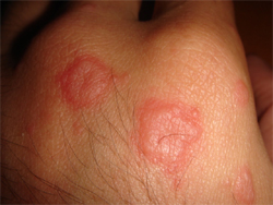 bula��c� u�uk